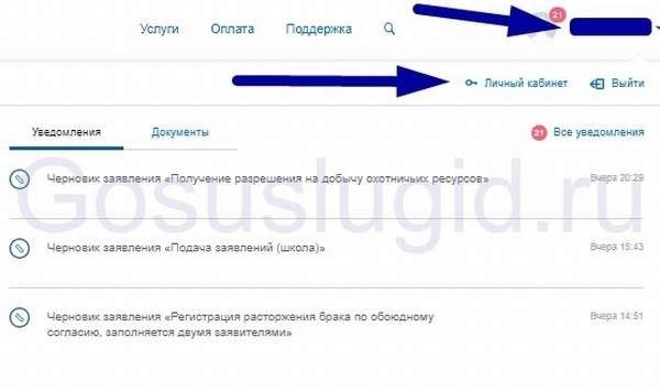 Как изменить пароль на госуслугах на ПК и телефоне, а также изменить код доступа в приложении